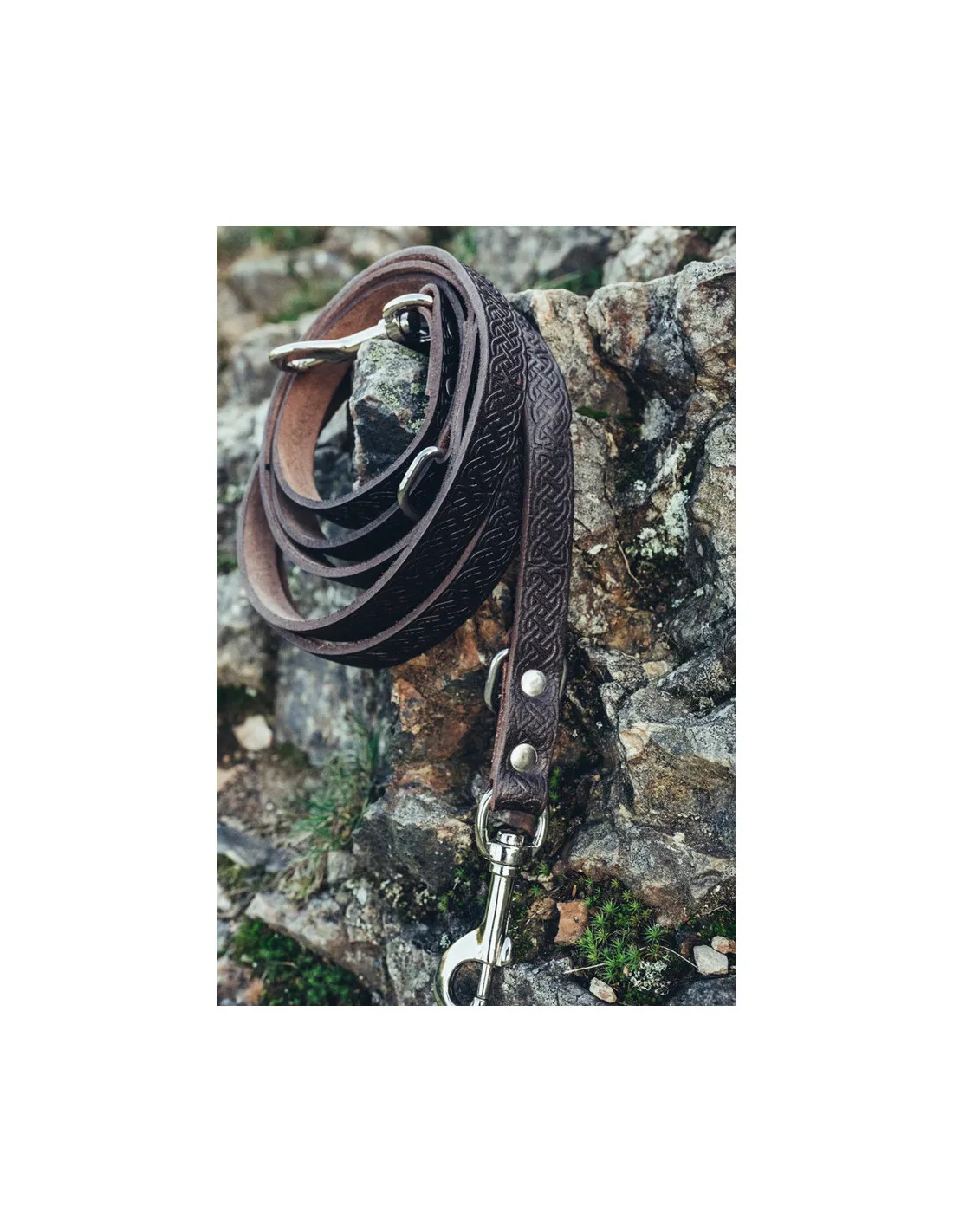 Ensemble laisse pour chien Ferris + collier Maddox ⚔️ Boutique Épées