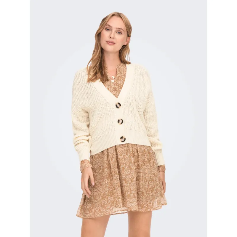 Gilet manches longues flavie henley beige femme - Guess | wimod