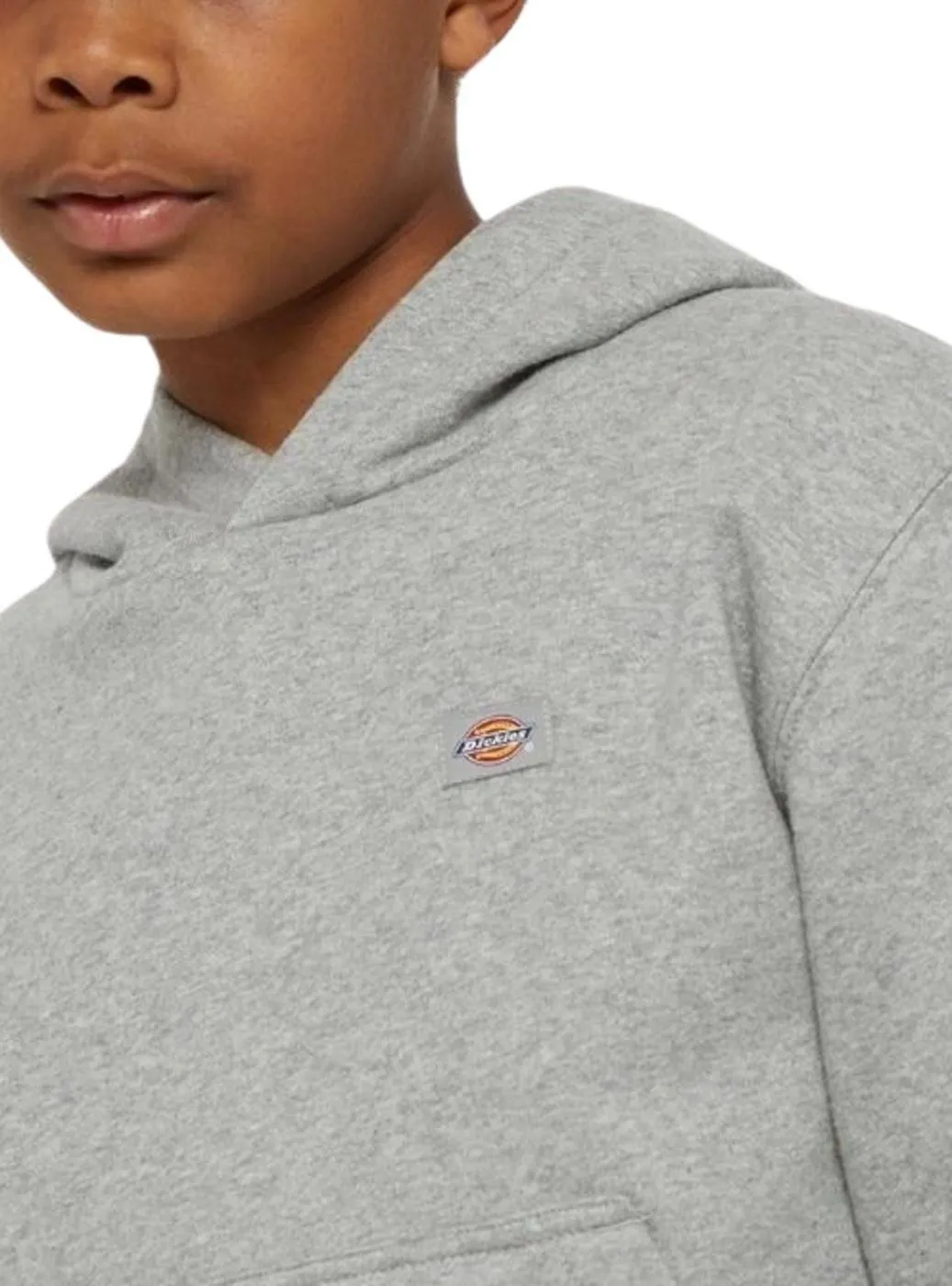 Sudadera Dickies Youth Oakport Hoodie Gris Pour Enfant